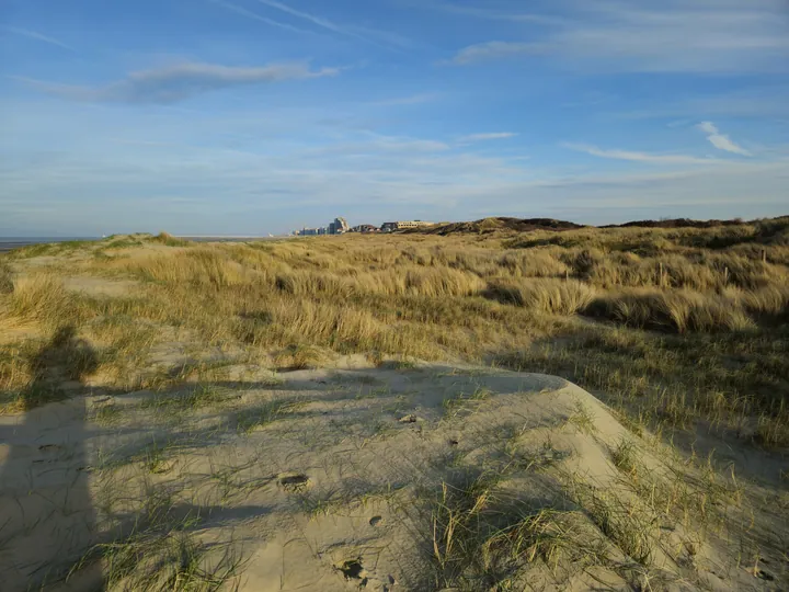 Oostnieuwkerke duinen wandeling in de koude (België)